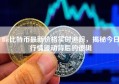 Bit比特币最新价格实时追踪，揭秘今日行情波动背后的逻辑