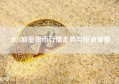 2024加密货币行情走势与投资策略