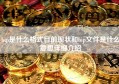 bip是什么格式目前现状和bip文件是什么意思详细介绍