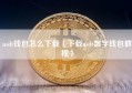 usdt钱包怎么下载（下载usdt数字钱包教程）