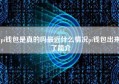 pi钱包是真的吗最近什么情况pi钱包出来了简介