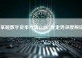 掌握数字货币行情，2024年走势深度解读
