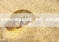 比特币行情最新解读，趋势、风险与机会