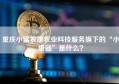 重庆小富农康农业科技服务旗下的“小康链”是什么？