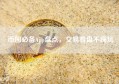 币圈必备App盘点，交易看盘不踩坑
