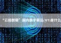 “云图数藏”国内数字藏品(NFT)是什么？