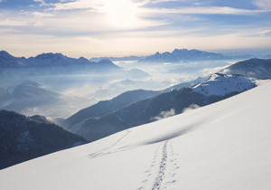 什么是加密货币？全面解析数字资产新时代