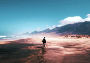 虚拟货币交易平台全攻略，安全选择与交易技巧