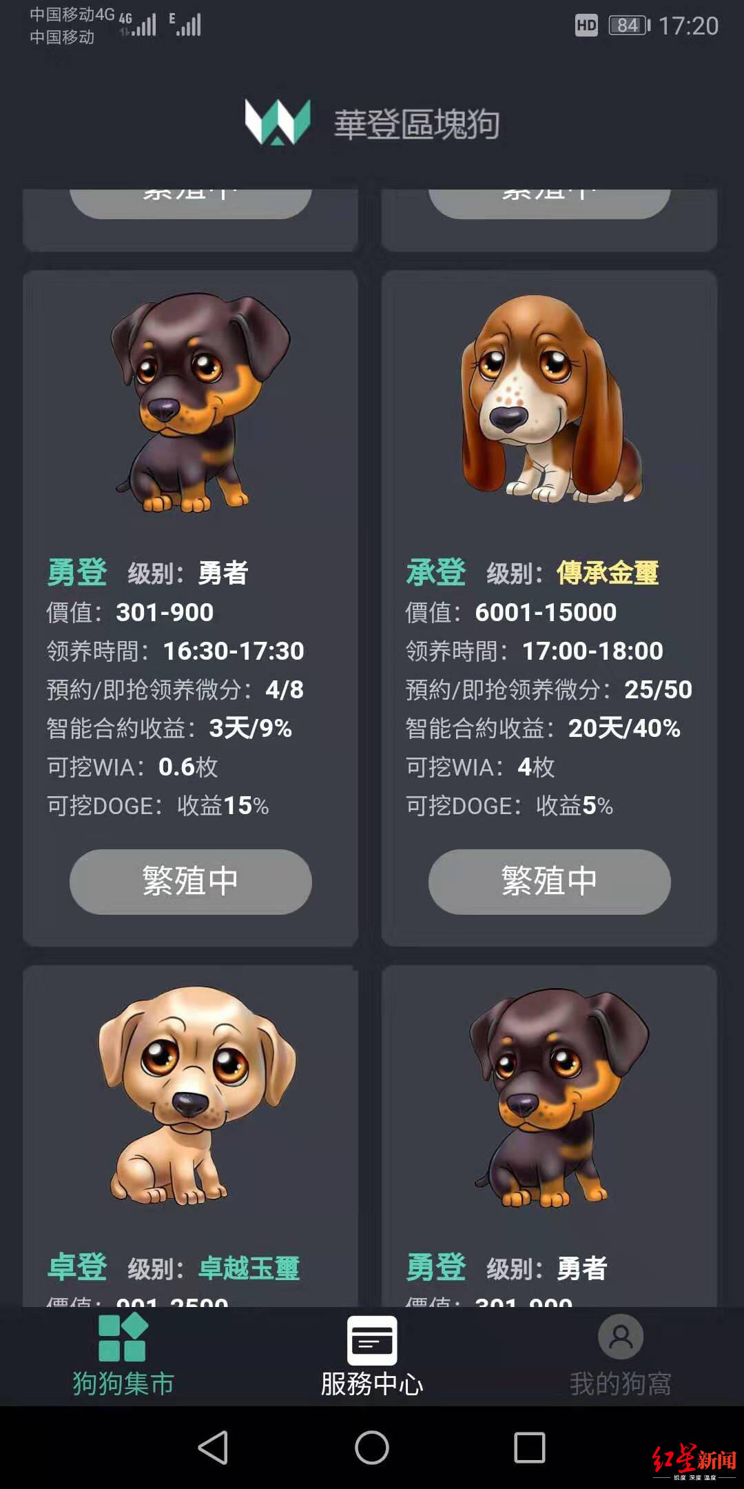 网上投钱疯狂“抢狗”400人玩虚拟宠物游戏称被骗300多万
