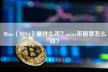 Mina（MINA）是什么币？mina币前景怎么样？