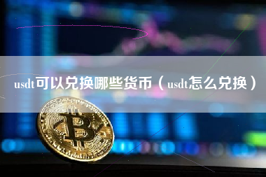 usdt可以兑换哪些货币（usdt怎么兑换）