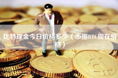 比特现金今日价格多少（币圈BTC现在价格）