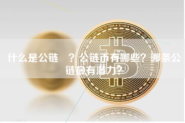 什么是公链 ？公链币有哪些？哪条公链最有潜力？