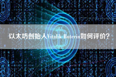 以太坊创始人Vitalik Buterin如何评价？