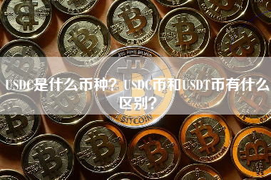 USDC是什么币种？USDC币和USDT币有什么区别？