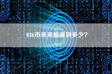 BIK币未来能涨到多少？