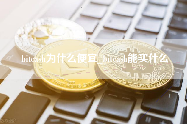 bitcash为什么便宜_bitcash能买什么