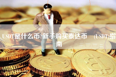 USDT是什么币?新手购买泰达币 (USDT)指南