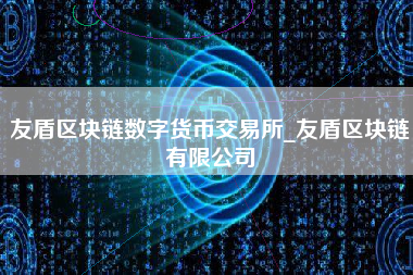 友盾区块链数字货币交易所_友盾区块链有限公司