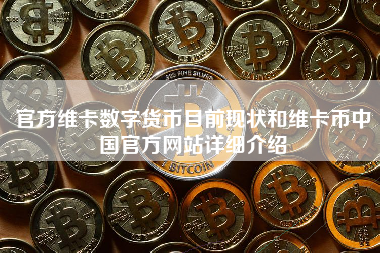 官方维卡数字货币目前现状和维卡币中国官方网站详细介绍