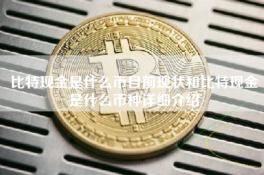 比特现金是什么币目前现状和比特现金是什么币种详细介绍