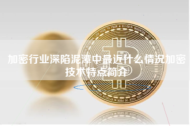 加密行业深陷泥潭中最近什么情况加密技术特点简介