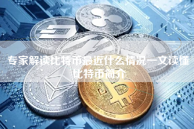 专家解读比特币最近什么情况一文读懂比特币简介