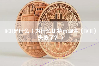 BCH是什么（为什么比特币现金（BCH）失败了？）