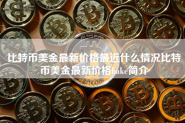 比特币美金最新价格最近什么情况比特币美金最新价格bake简介