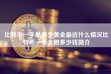 比特币一手是多少美金最近什么情况比特币一手大概多少钱简介