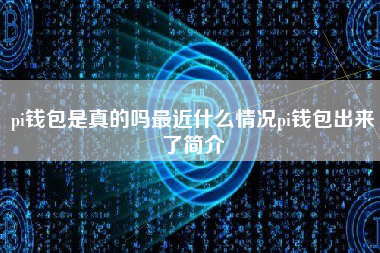 pi钱包是真的吗最近什么情况pi钱包出来了简介