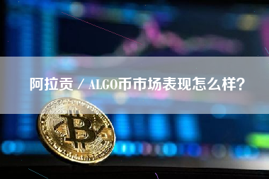 阿拉贡／ALGO币市场表现怎么样？