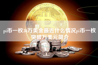 pi币一枚30万美金最近什么情况pi币一枚突破万美元简介