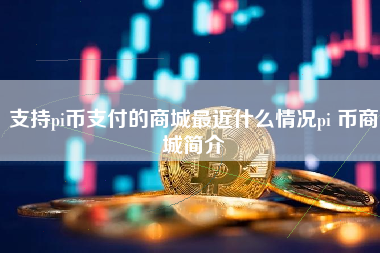 支持pi币支付的商城最近什么情况pi 币商城简介