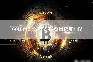 GOLD币怎么样？投资风险如何？