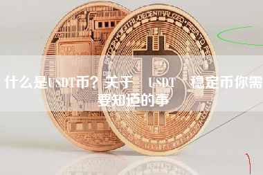 什么是USDT币？关于 USDT 稳定币你需要知道的事