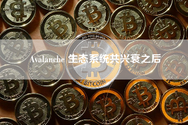 Avalanche 生态系统共兴衰之后