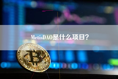 MetisDAO是什么项目？