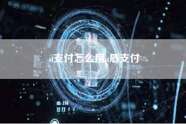 u支付怎么用u盾支付