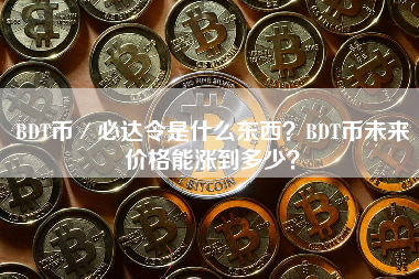 BDT币／必达令是什么东西？BDT币未来价格能涨到多少？