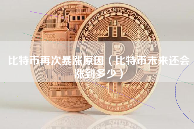 比特币再次暴涨原因（比特币未来还会涨到多少）