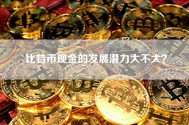 比特币现金的发展潜力大不大？