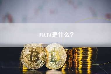 MATA是什么？