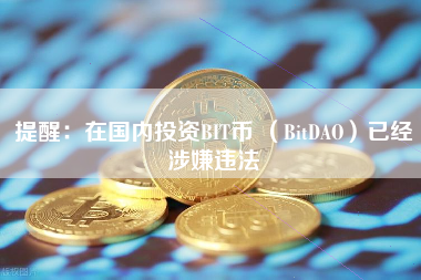 提醒：在国内投资BIT币 （BitDAO）已经涉嫌违法
