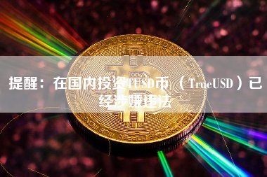 提醒：在国内投资TUSD币 （TrueUSD）已经涉嫌违法