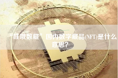 “哇哦数藏”国内数字藏品(NFT)是什么意思？