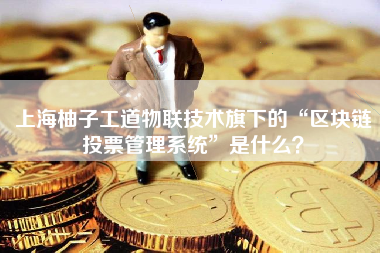 上海柚子工道物联技术旗下的“区块链投票管理系统”是什么？