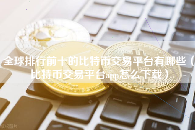 全球排行前十的比特币交易平台有哪些（比特币交易平台app怎么下载）