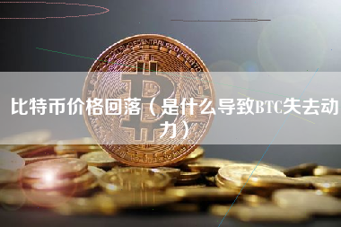 比特币价格回落（是什么导致BTC失去动力）