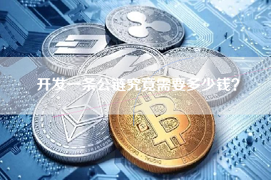 开发一条公链究竟需要多少钱? 开发一条公链究竟需要多少钱?